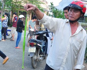 Green Viper Snake - Vietnam