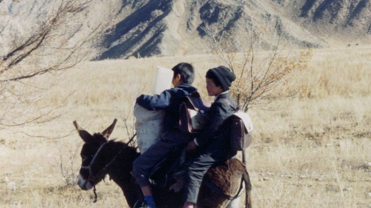 Kyrgyz boys on a donkey- Naryn, Kyrgyzstan